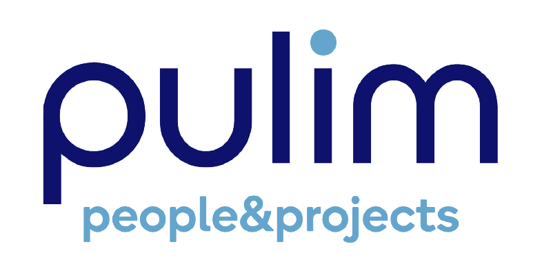 LOGO-PULIM-HOME-BLAU-05 (1)-c43c4034