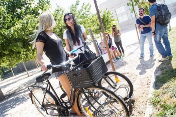 bicicleta