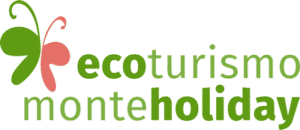 web-logo-mh